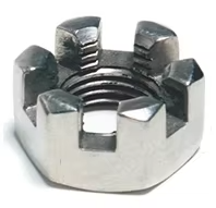 Slotted Hex Nut/Slotted Nut