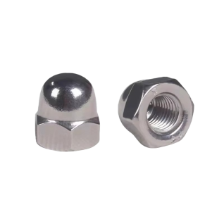 Hexagon Domed Cap Nuts/Hex Cap Nuts 